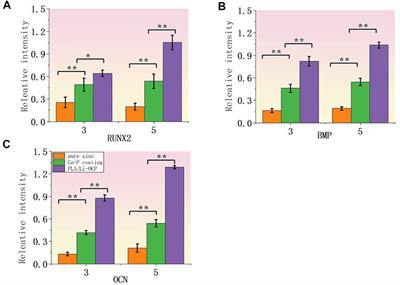 In Vitro Study of Degradation and Cytocompatibility of Ceramics/PLA Composite Coating on Pure Zinc for Orthopedic Application